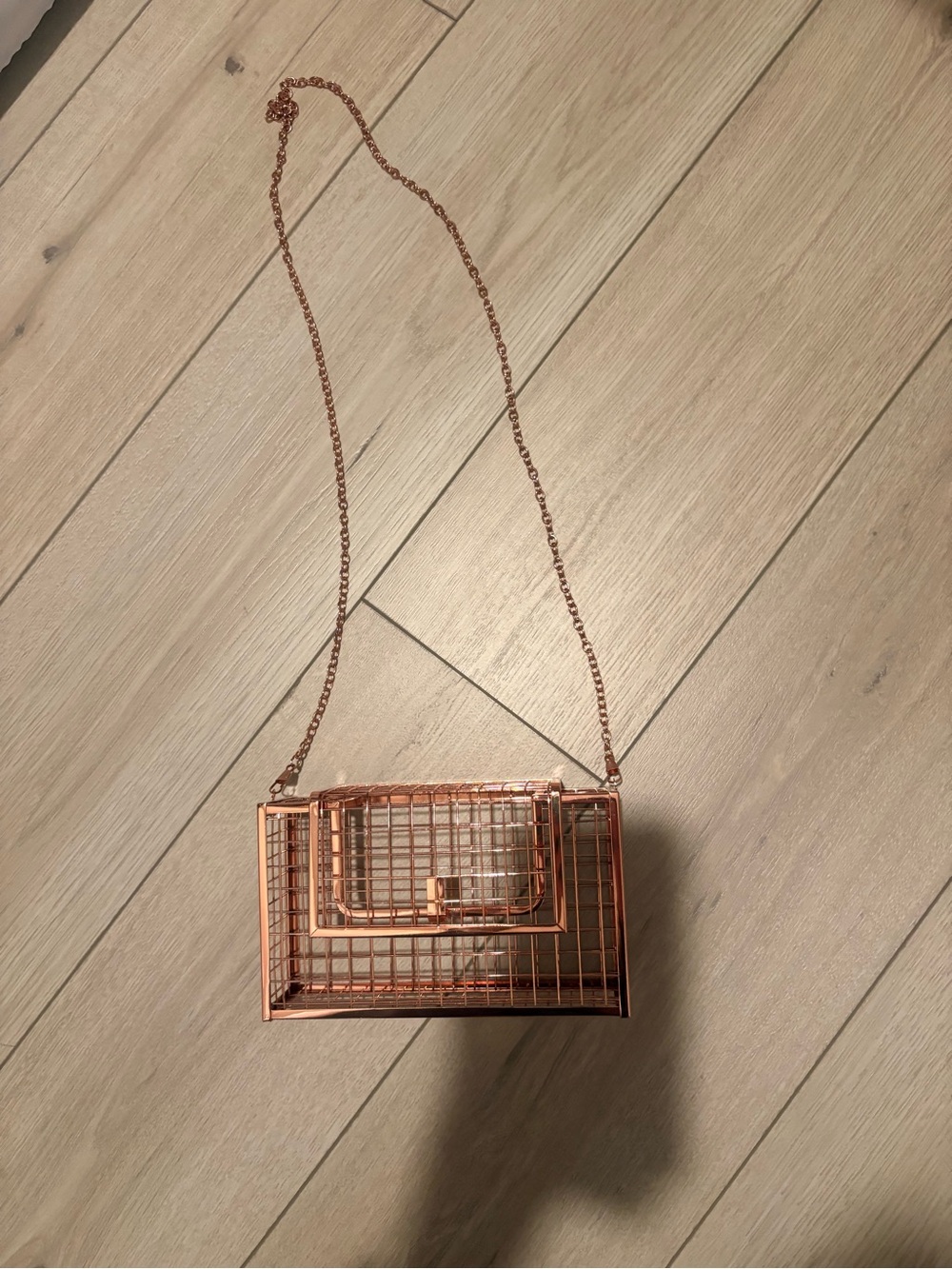 Rose Gold Metal Cage Crossbody Bag
